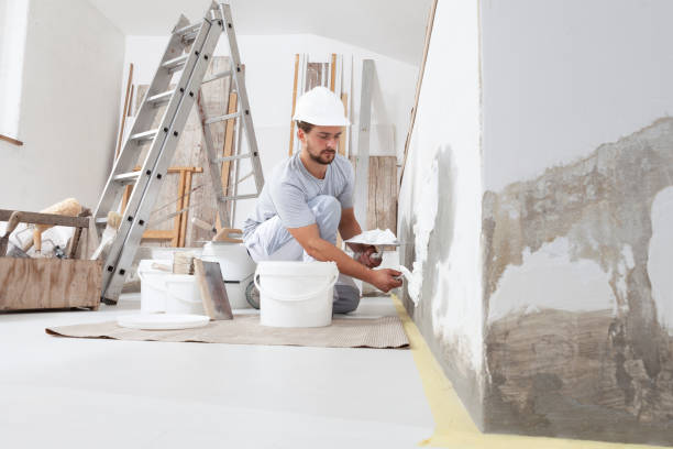 Best Drywall Sanding and Smoothing  in Nd Point, WI